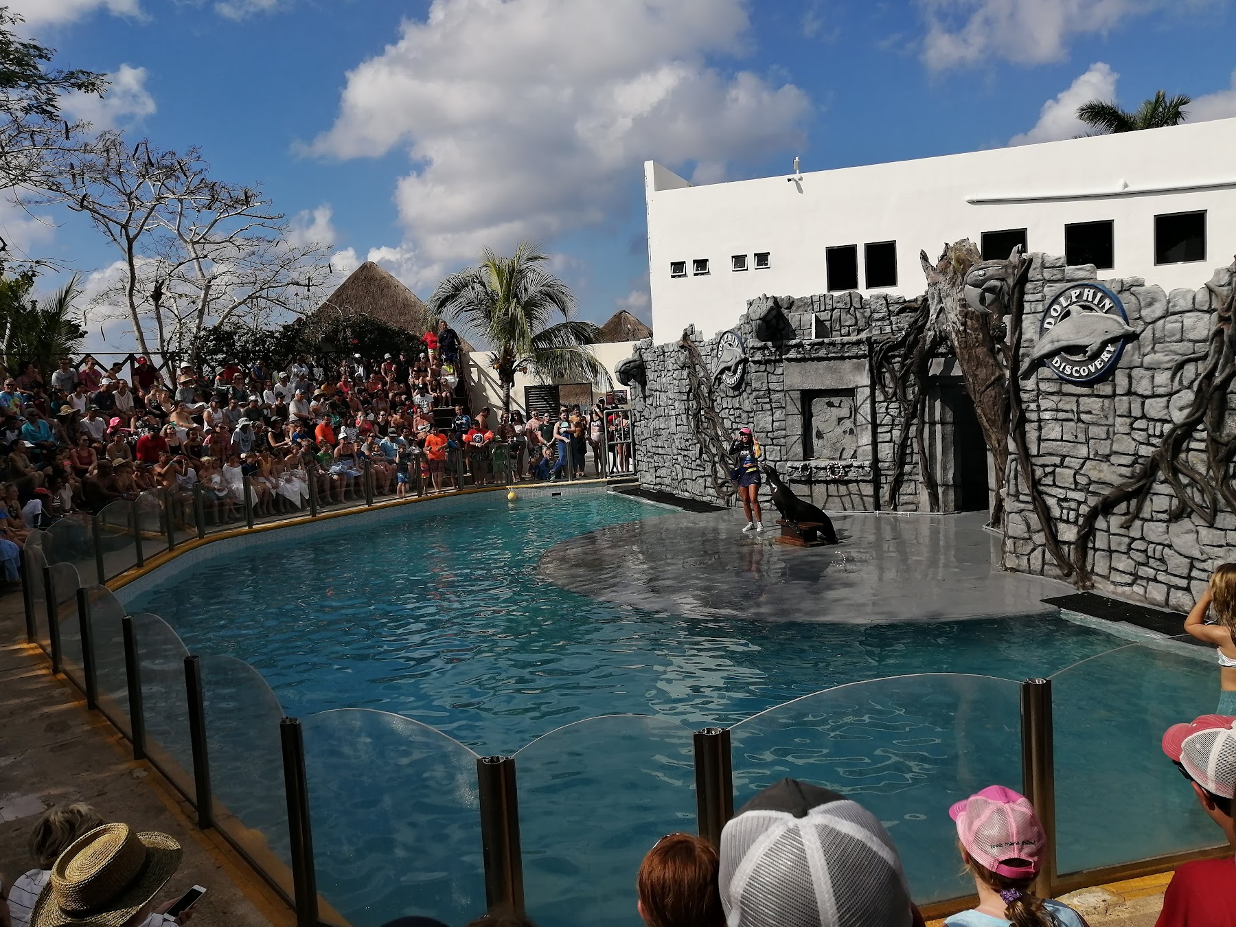 Costa oeste sur: Chankanaab y los arrecifes, Cozumel