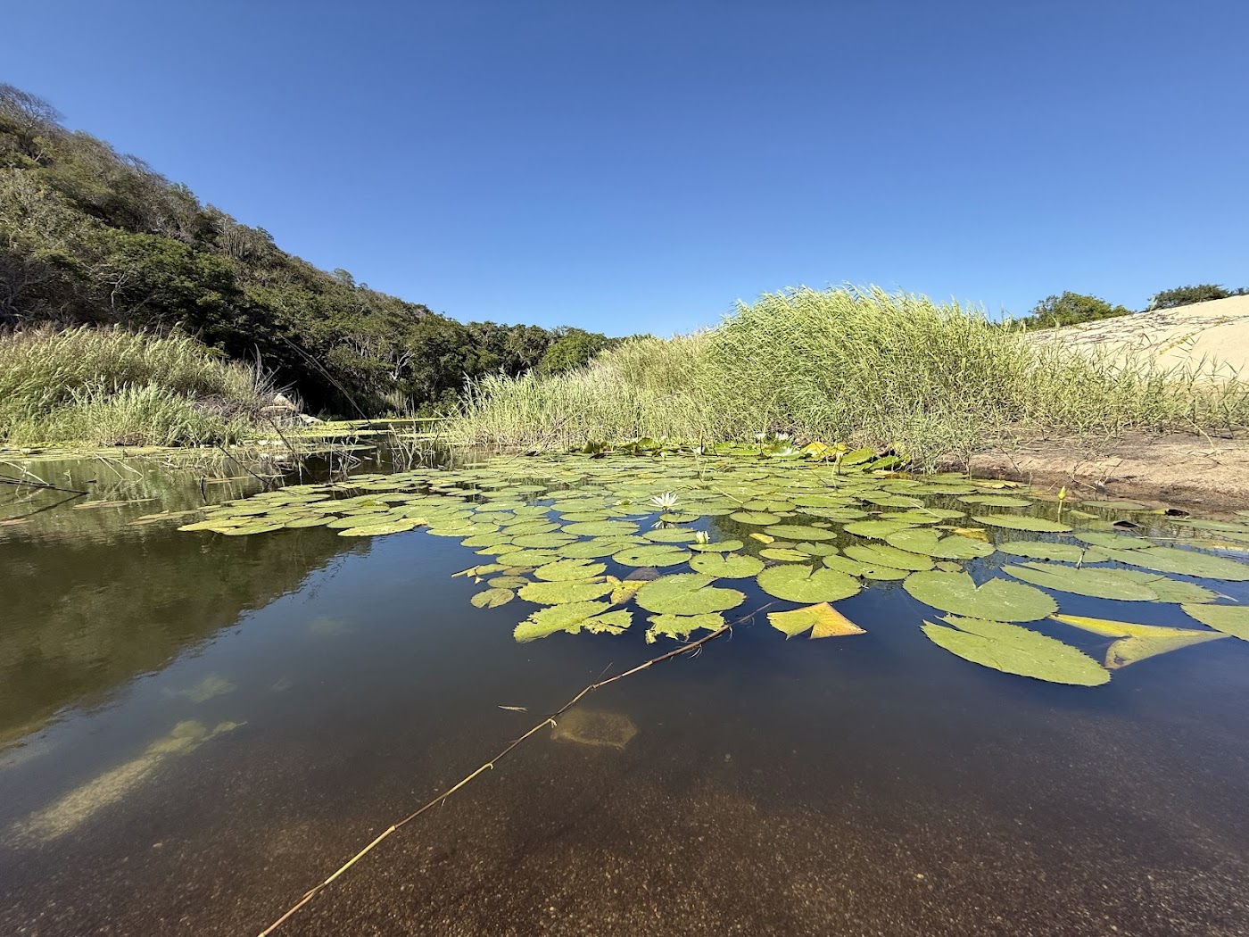 Parque Nacional Huatulco, Huatulco
