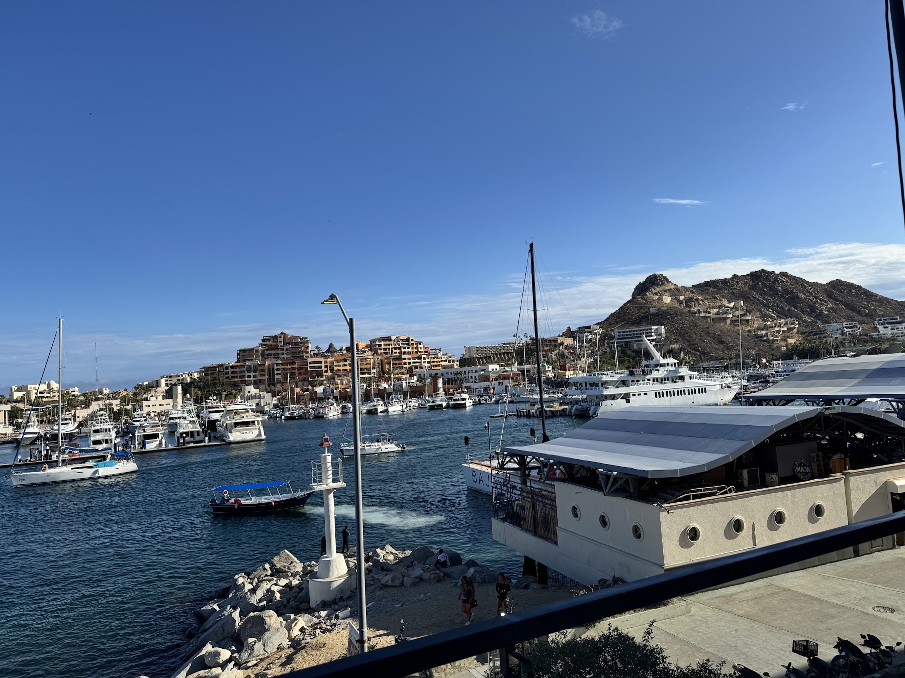Avistamiento de ballenas, Los Cabos
