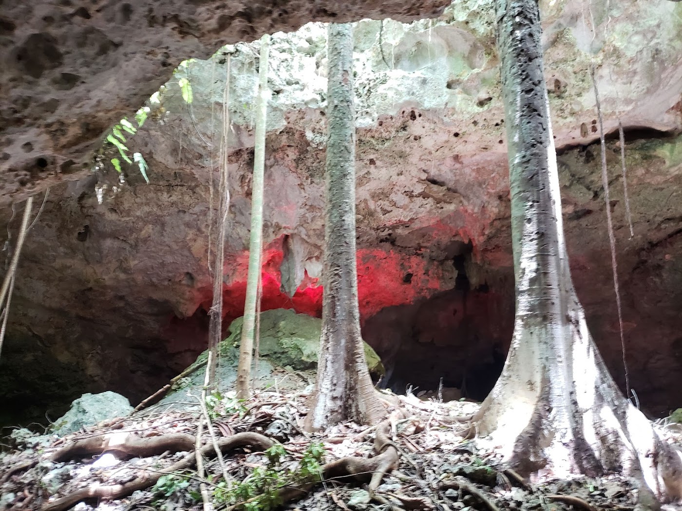Cenote Chaak Tun, Playa del Carmen