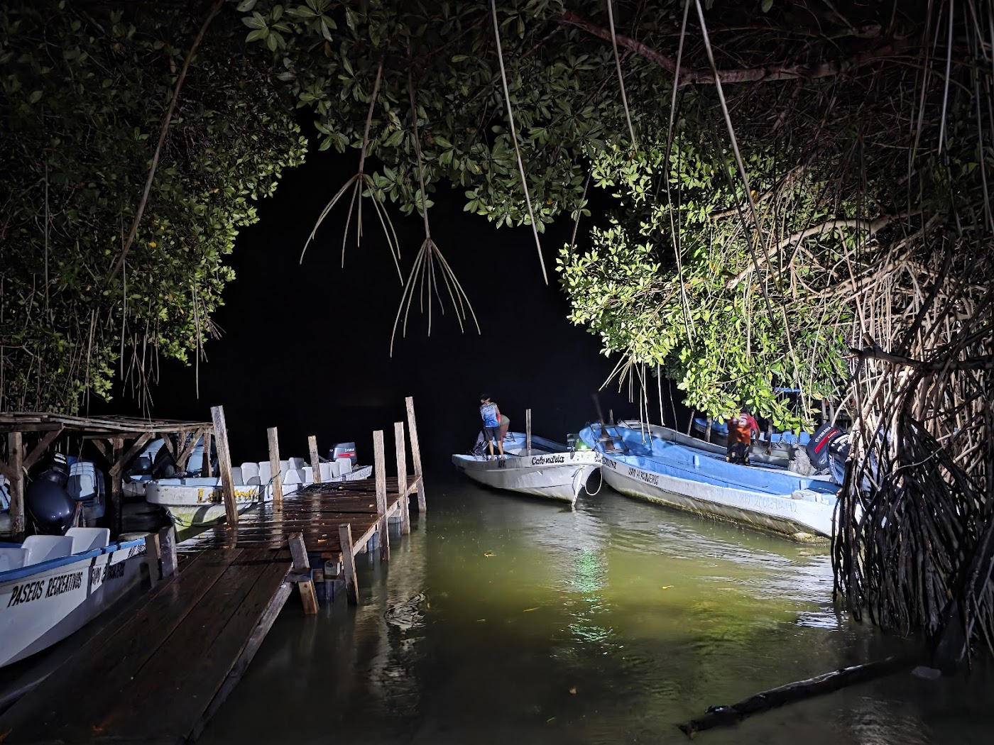 Bioluminiscencia en Laguna de Manialtepec, Puerto Escondido