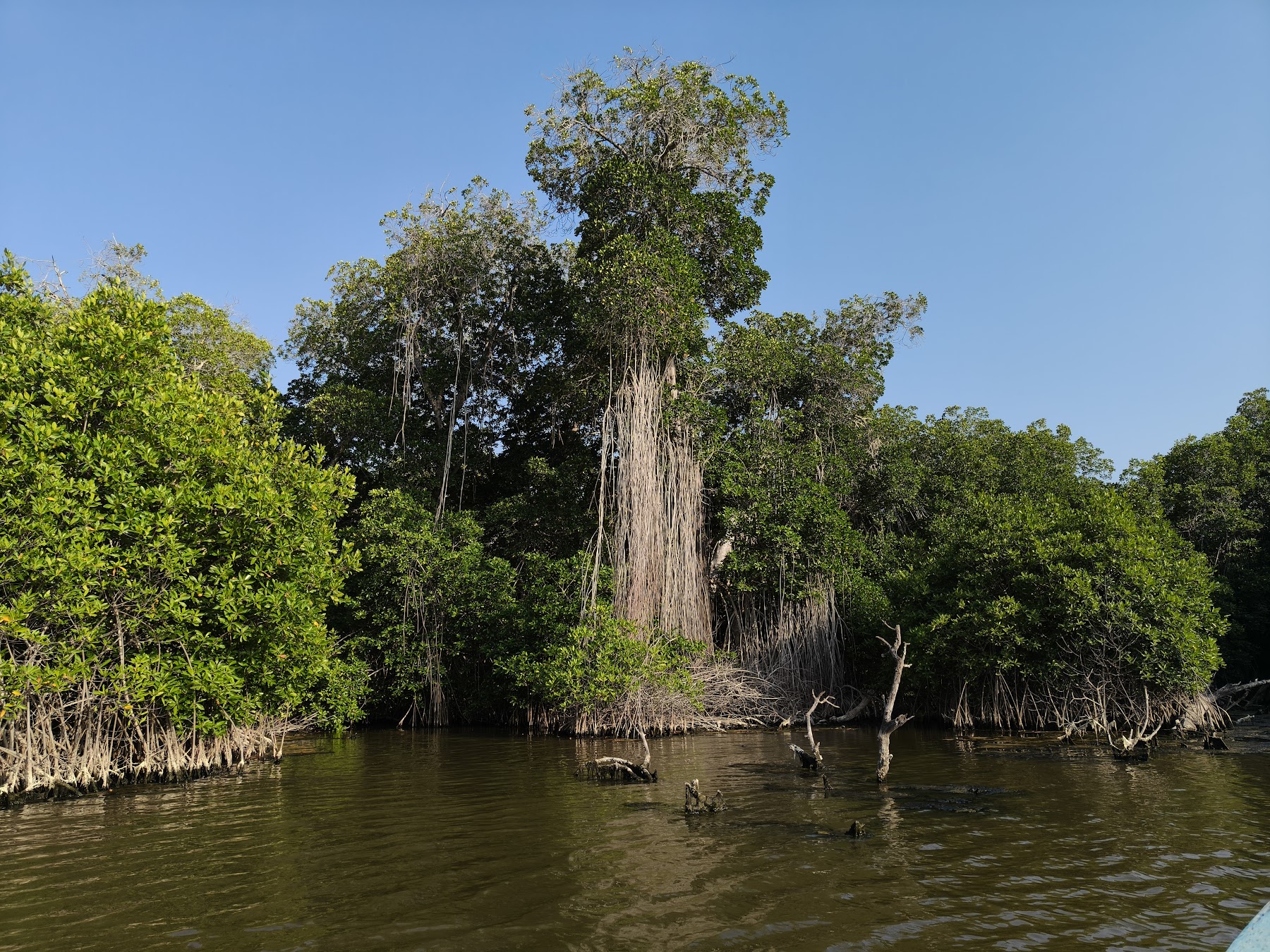 Bioluminiscencia en Laguna de Manialtepec, Puerto Escondido