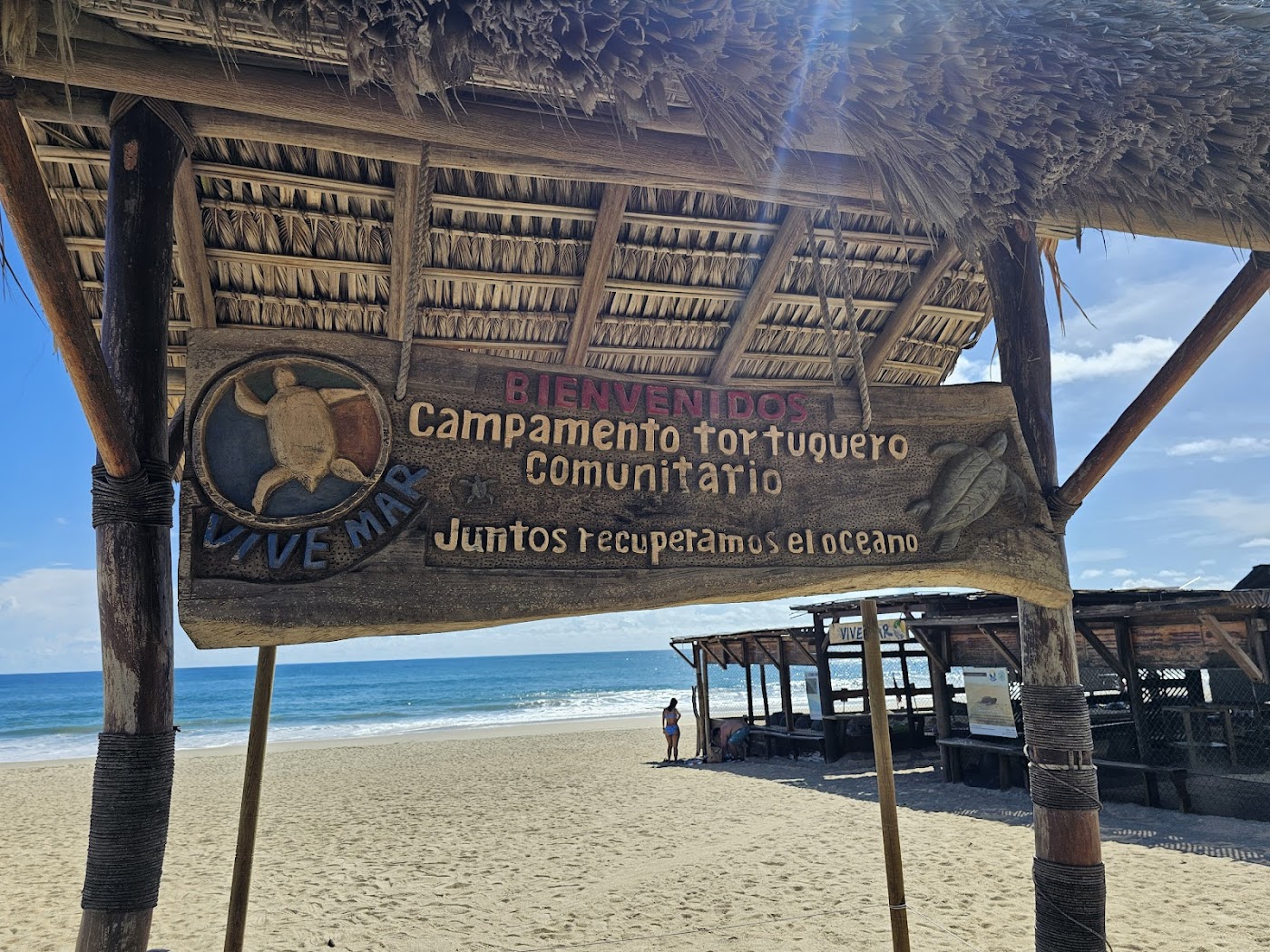 Liberación de tortugas, Puerto Escondido