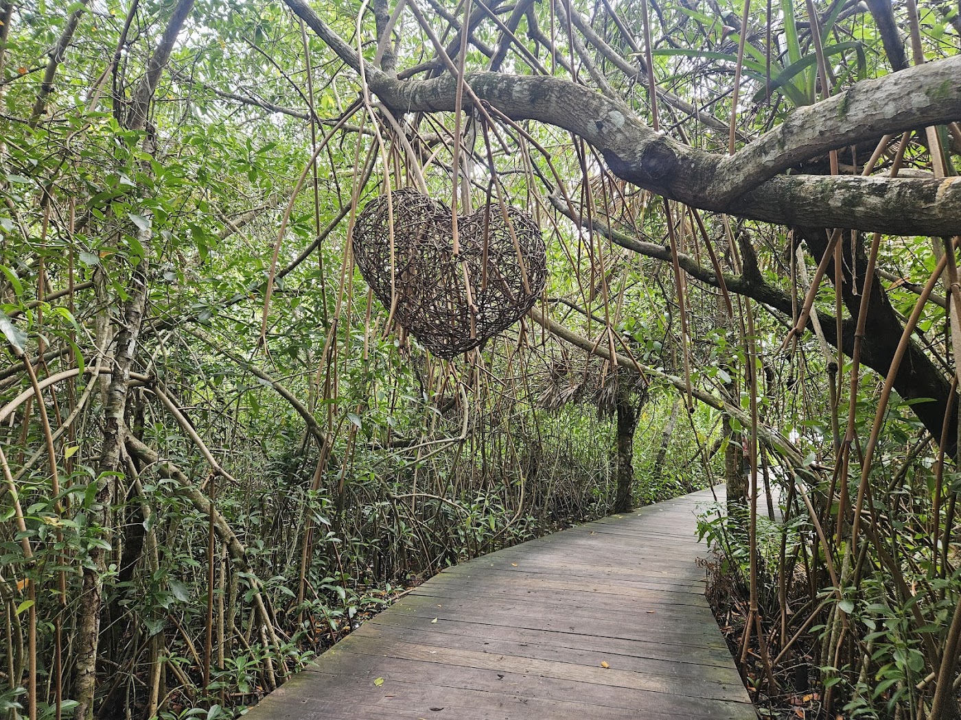 Laguna Kaan Luum, Tulum