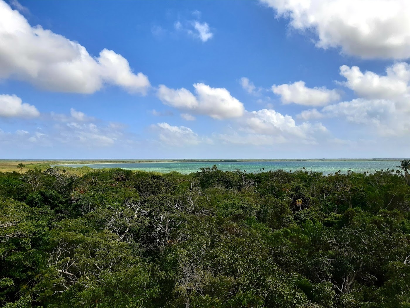 Zona Arqueológica de Muyil, Tulum