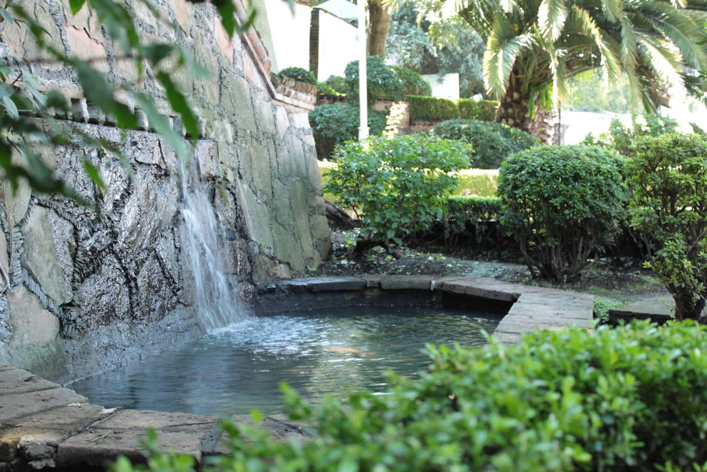 Parque Pino Suárez (Pino de la Fundación), Valle de Bravo