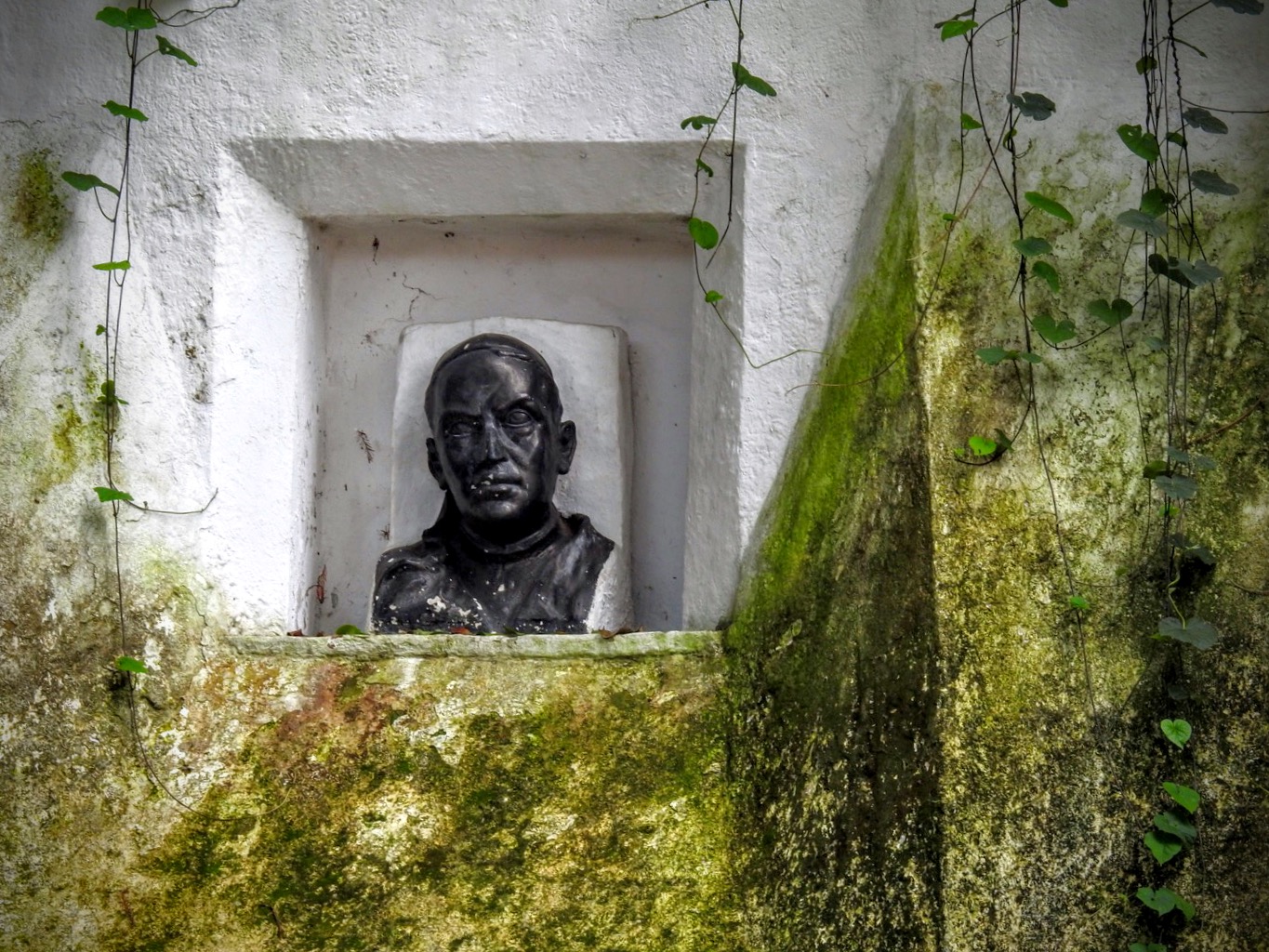 Parque Pino Suárez (Pino de la Fundación), Valle de Bravo