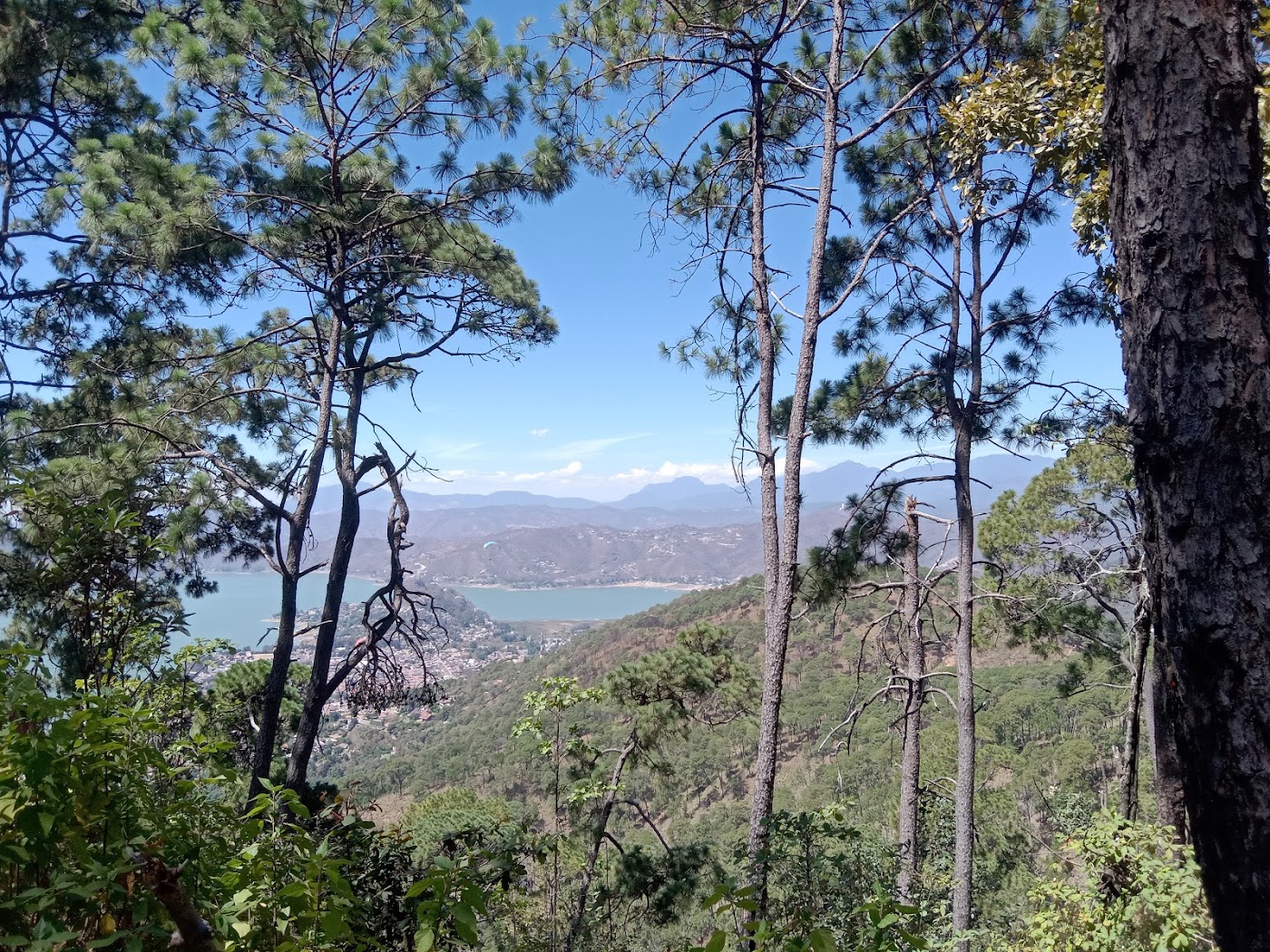 Reserva Monte Alto, Valle de Bravo
